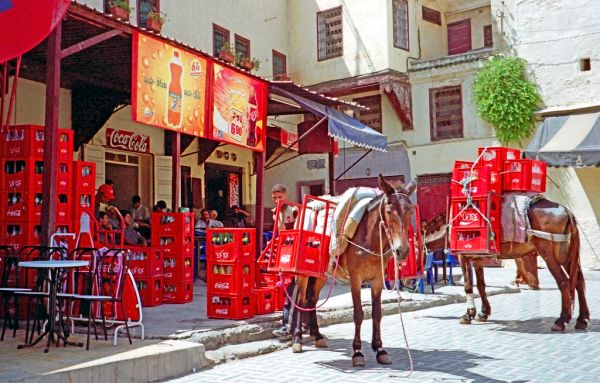 西班牙梅利利拉非法入侵者事件:數十人傷亡,領土主權爭議持續