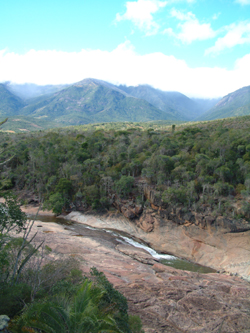 Rainforests of the Atsinanana