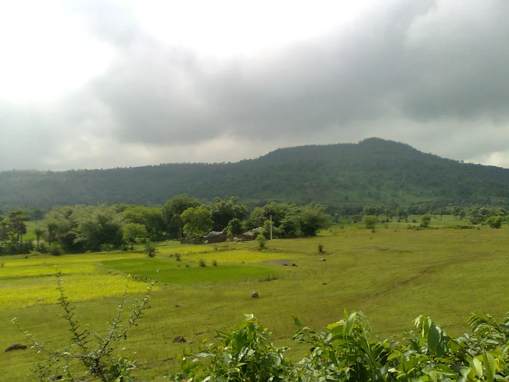 Rajmahal Hills