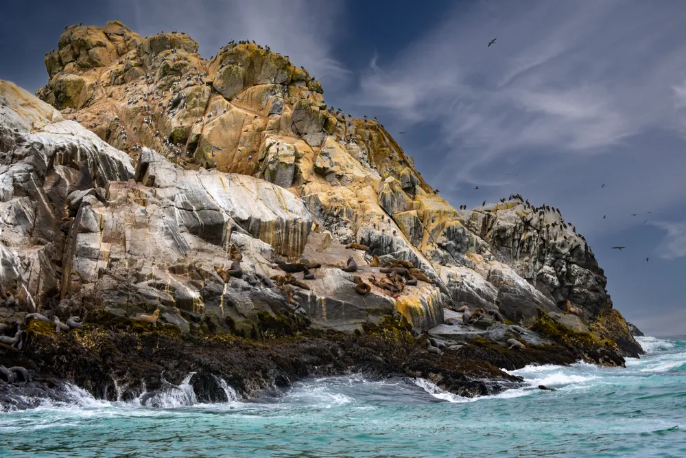Palomino Islands