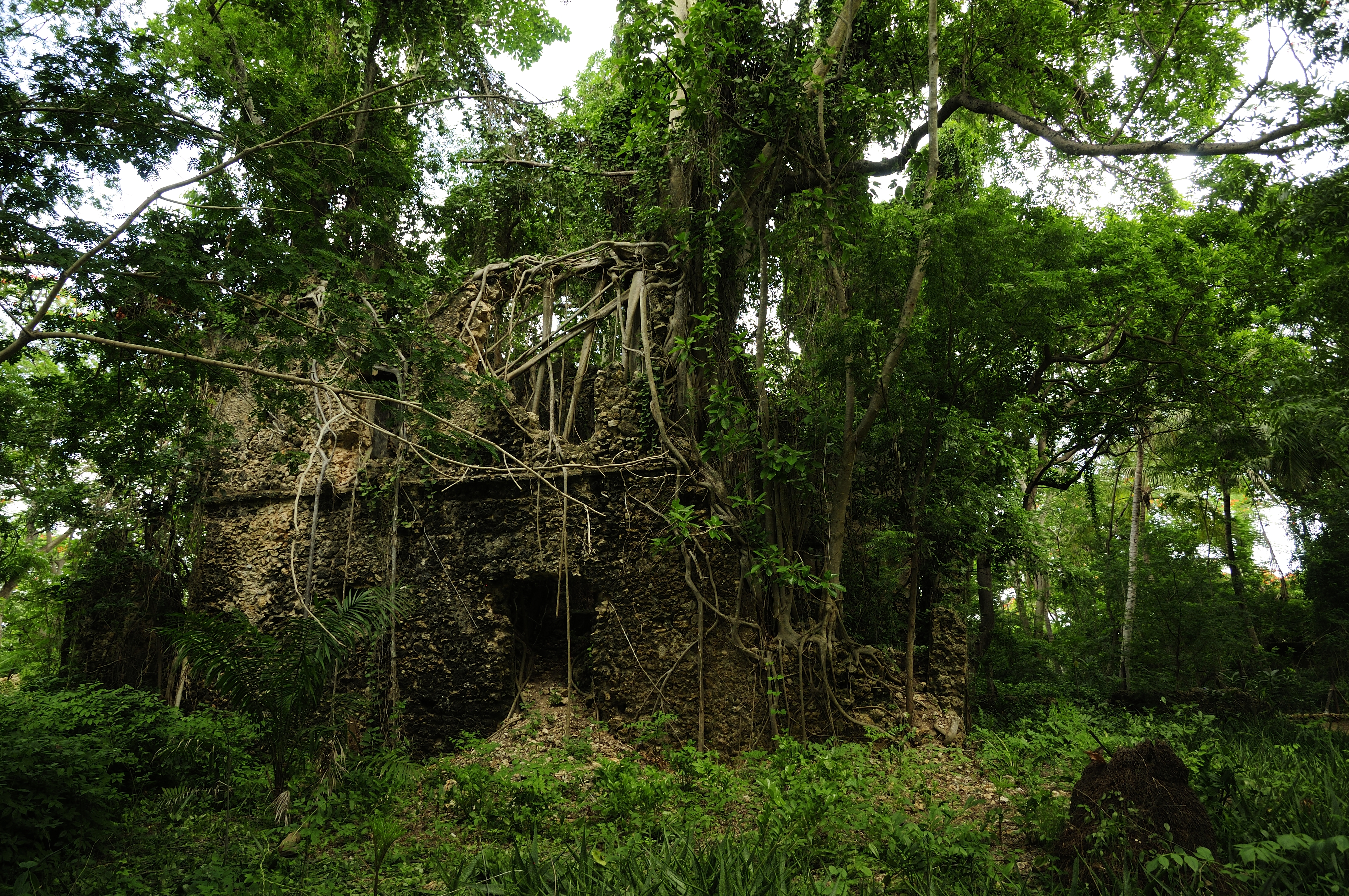 Juani Island