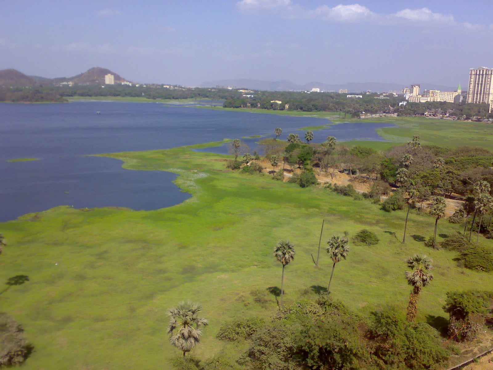 Powai Lake