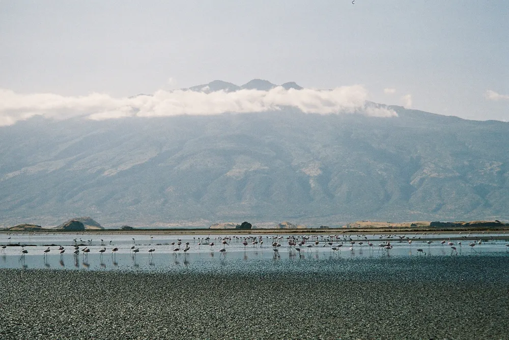 Gelai Volcano