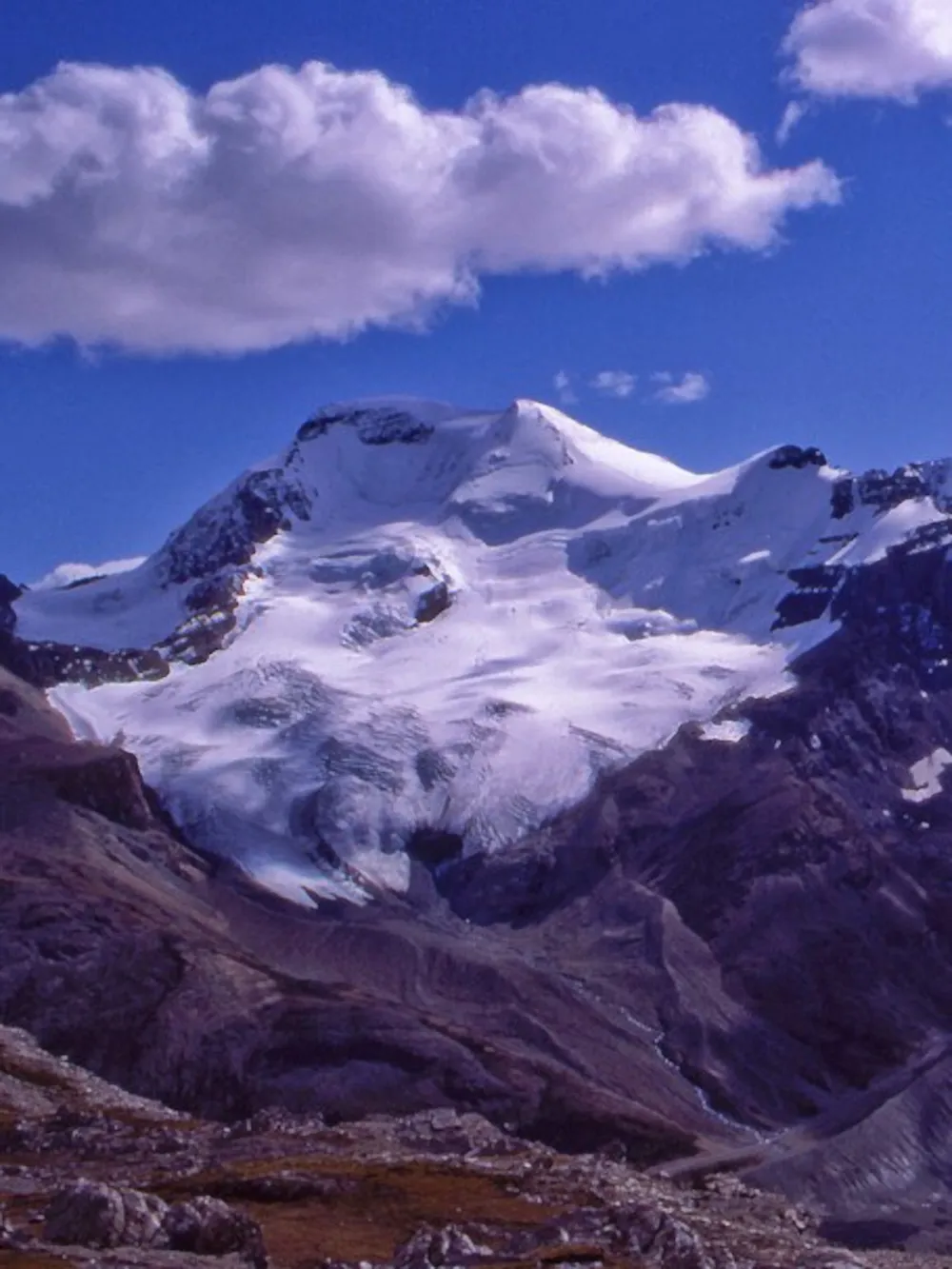 Mount Athabasca