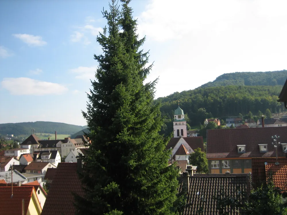 Braunhardsberg