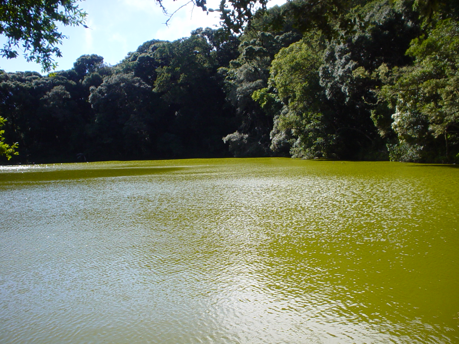 Laguna Verde