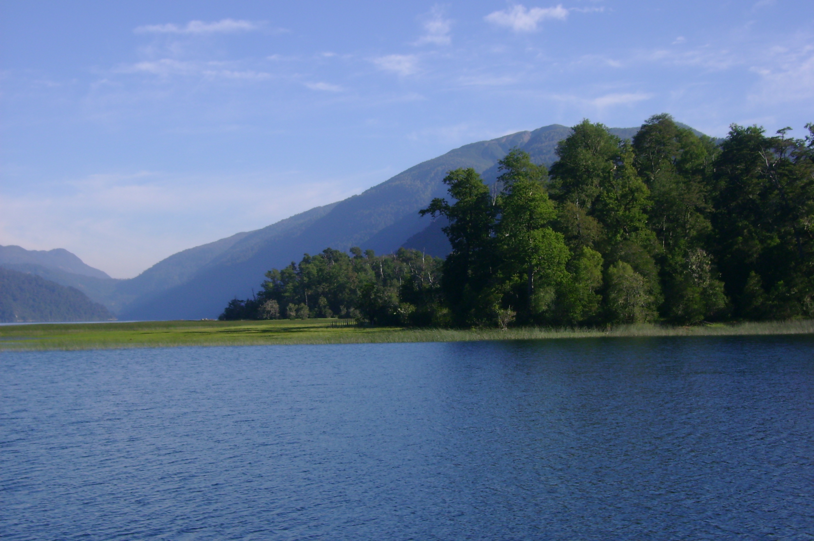 Pirihueico Lake