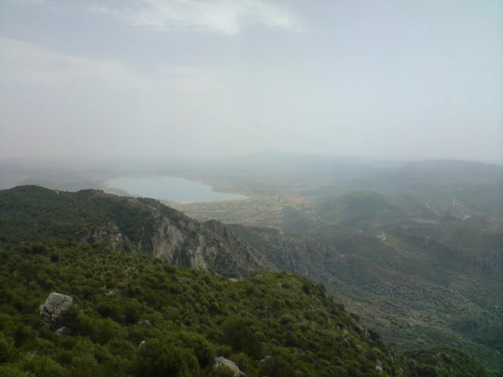 Sakesar
