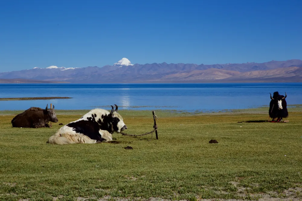 Lake Manasarovar