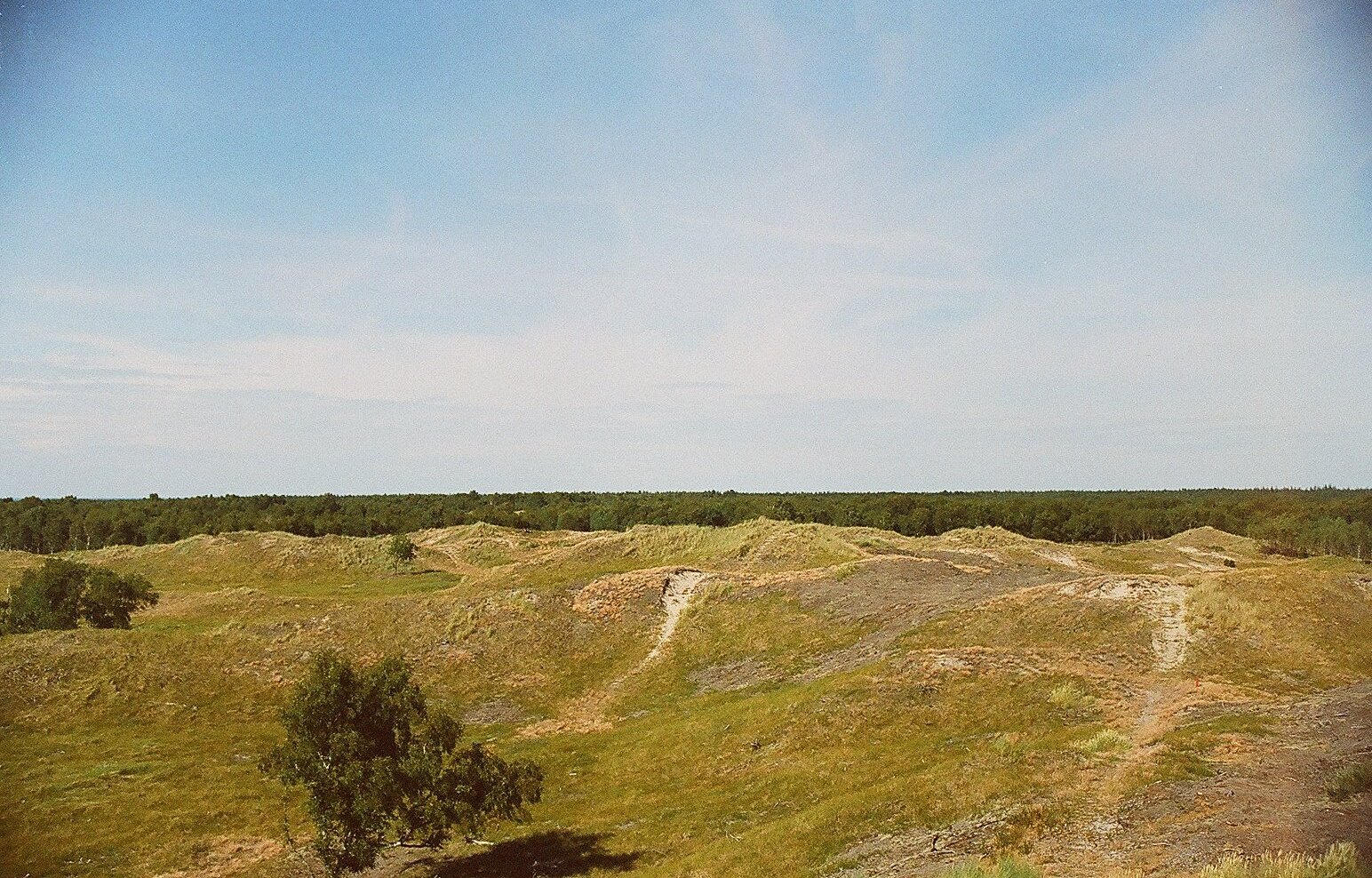Læsø