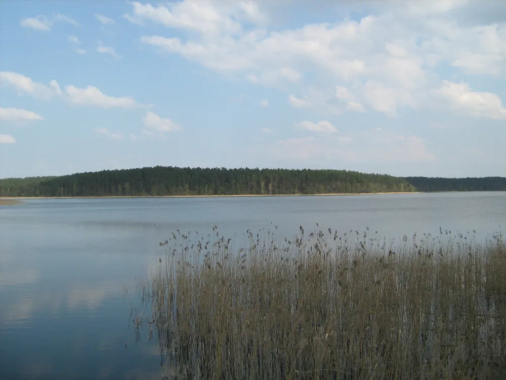 Orzysz