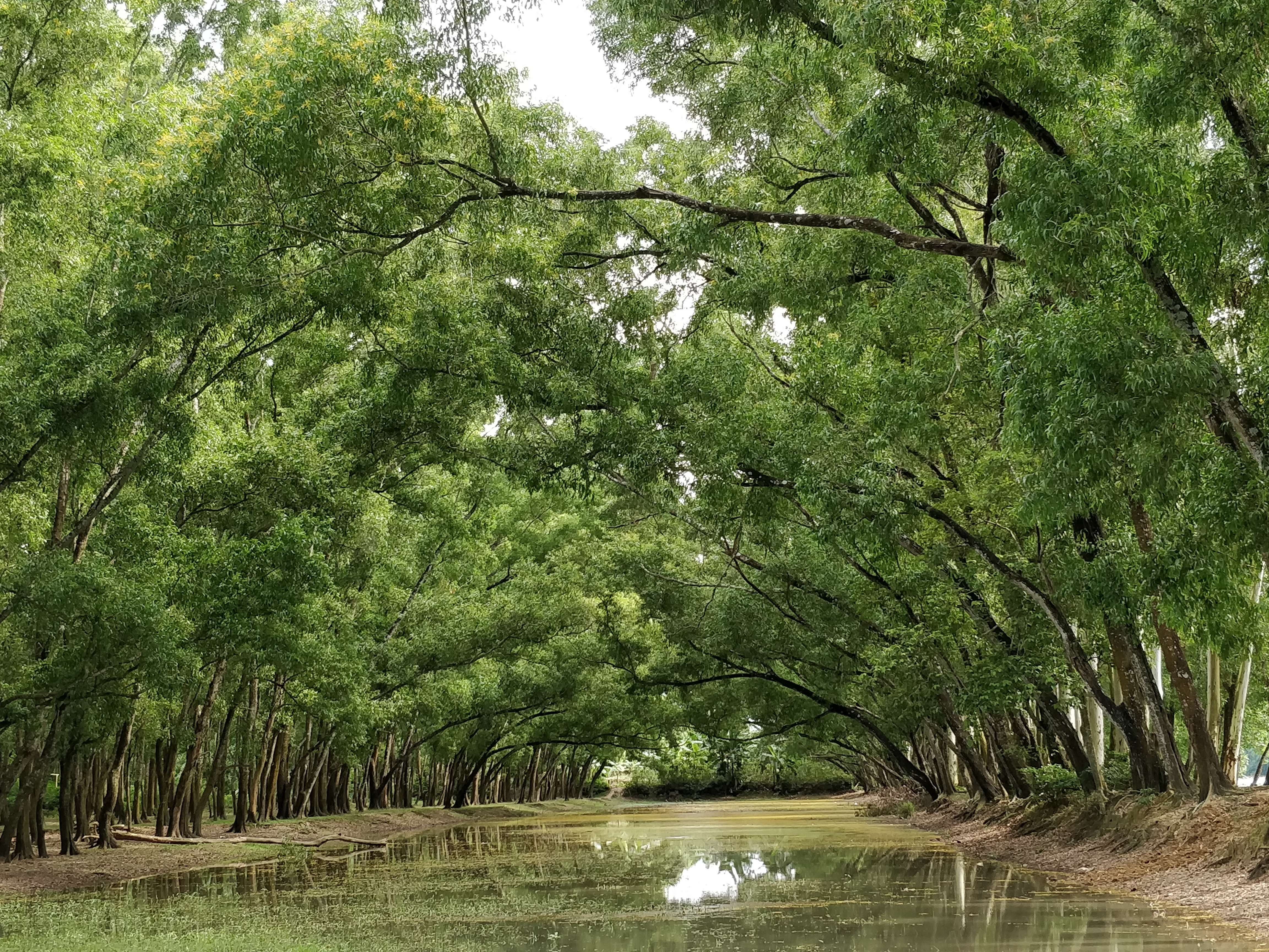 Altadighi National Park