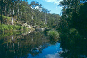 Carnarvon National Park