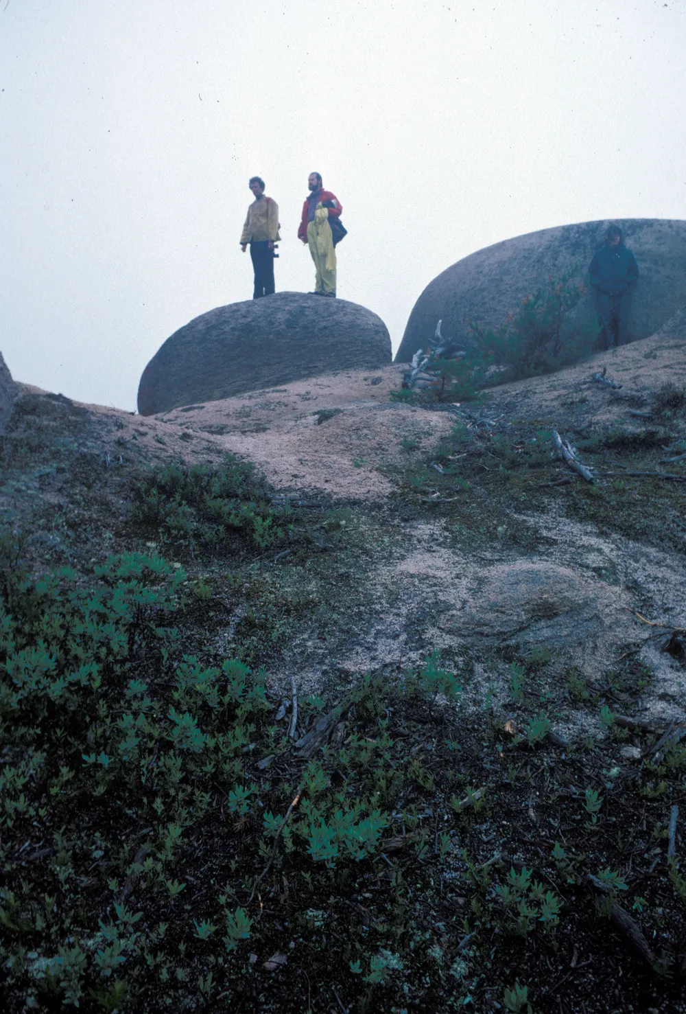 Colonels Mountain