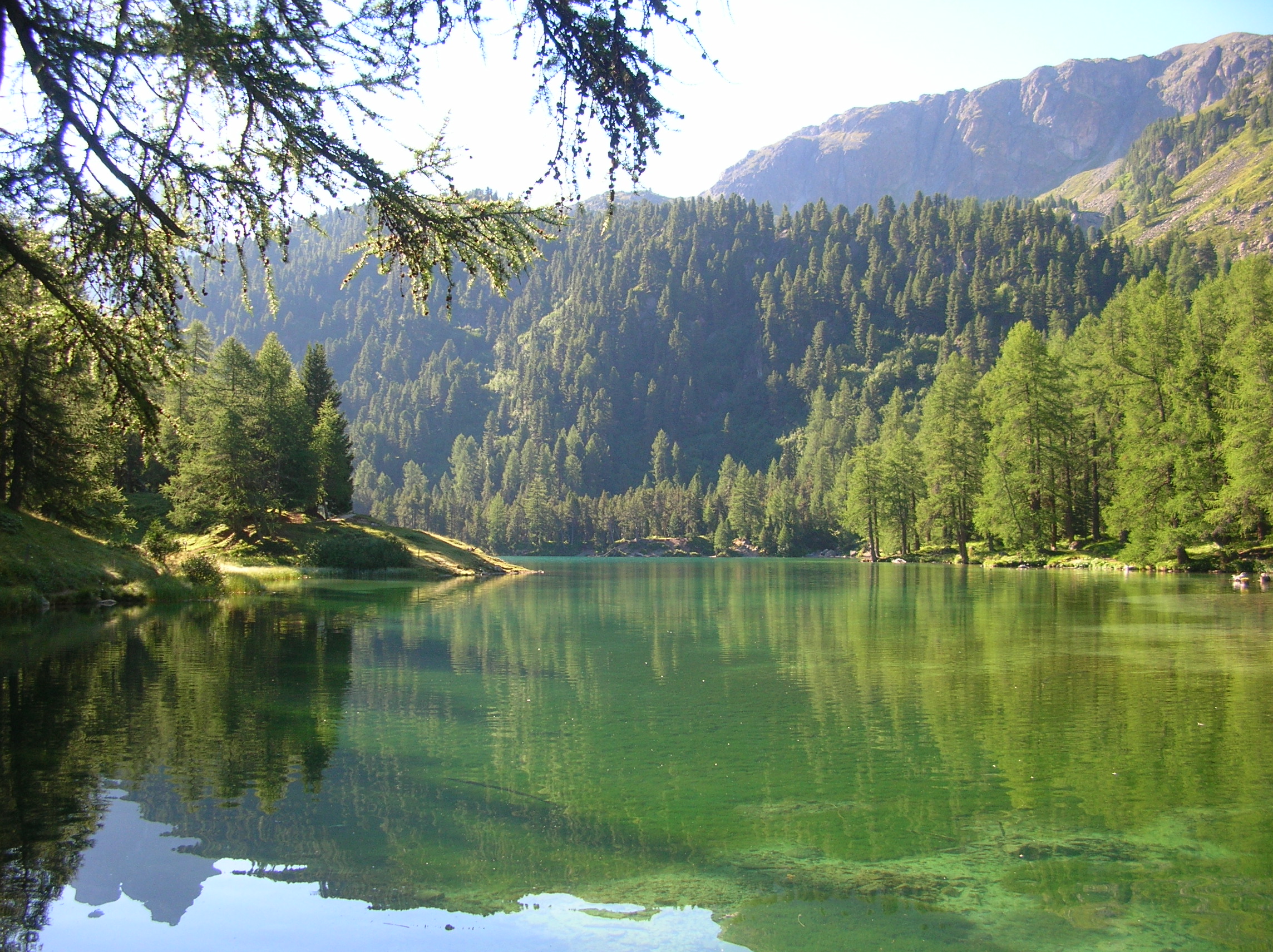 Lai da Palpuogna