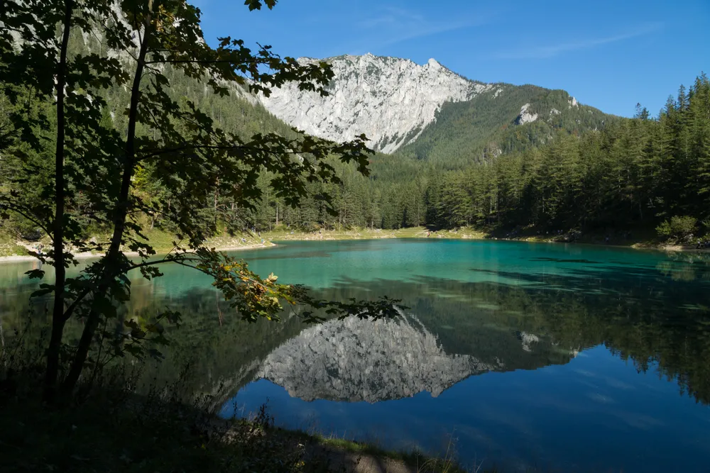 Grüner See
