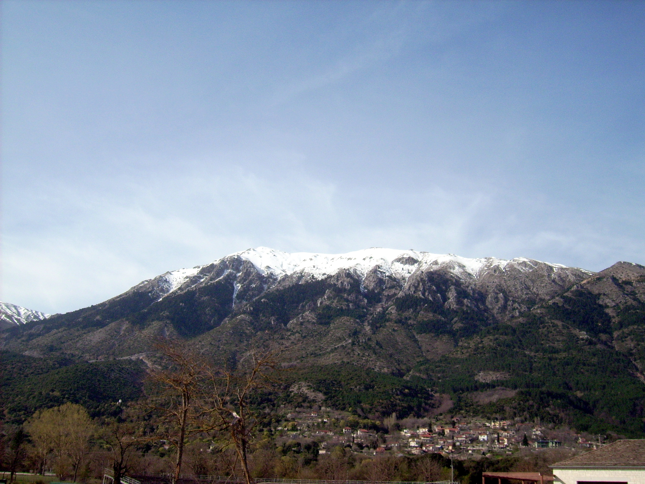 Tomaros