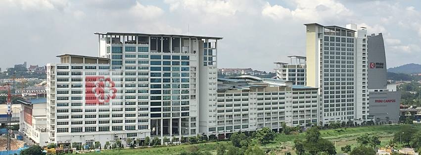 Management and Science University