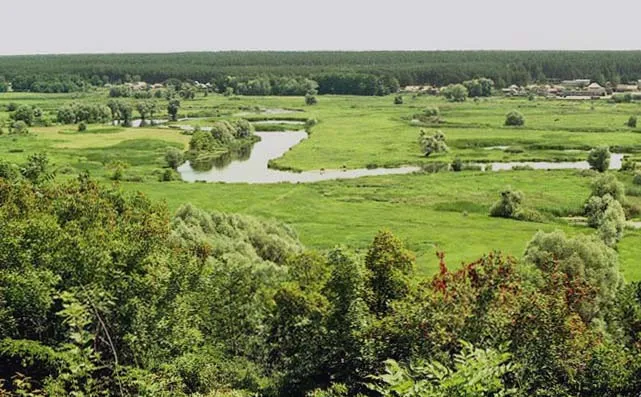 National Nature Park Homilsha Woods