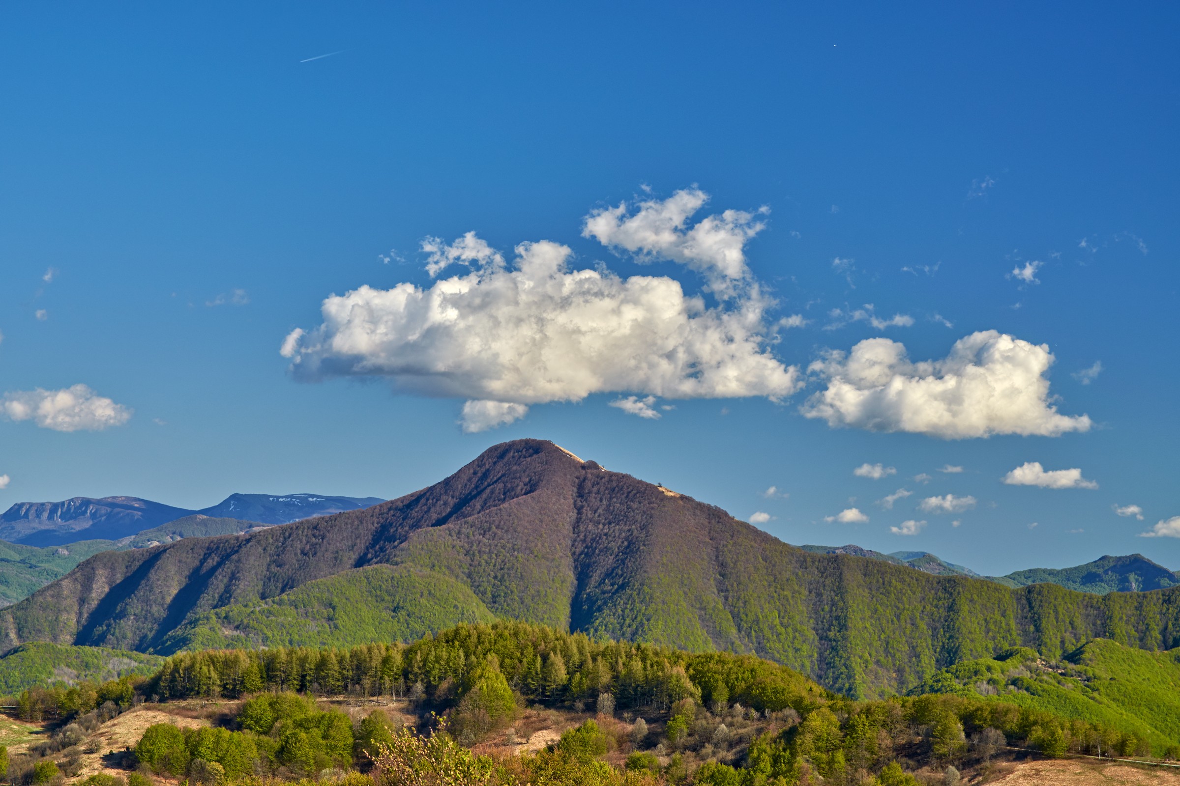 Monte Alfeo