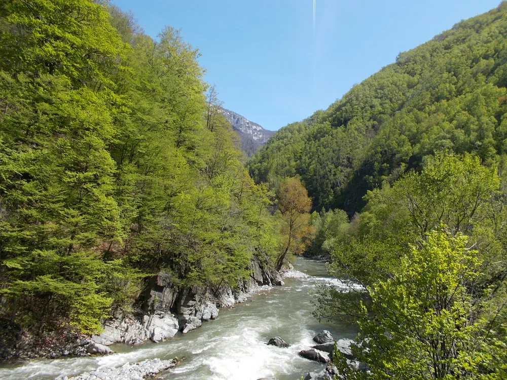Defileul Jiului National Park