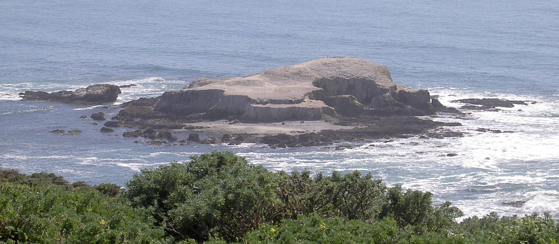 Bird Rock