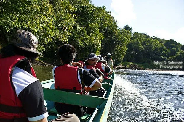 Ulu Temburong National Park