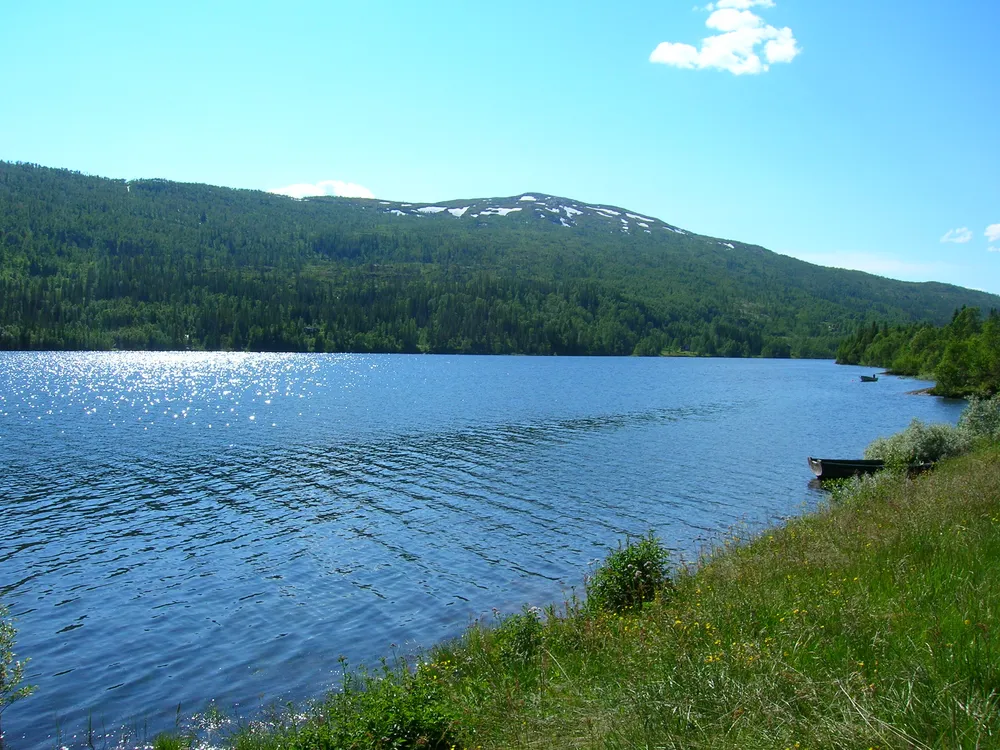 Andfiskvatnet
