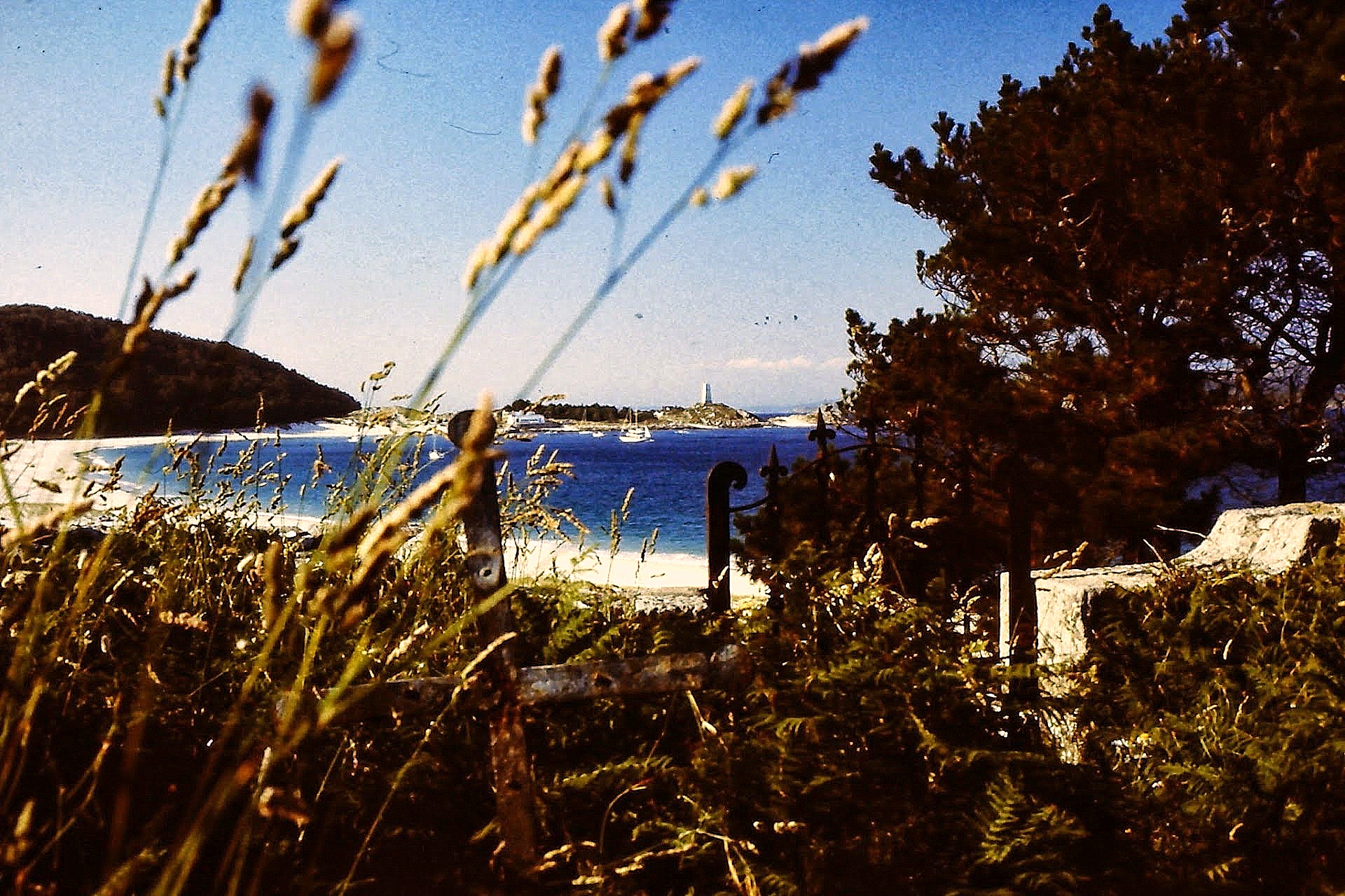 Playa de Rodas
