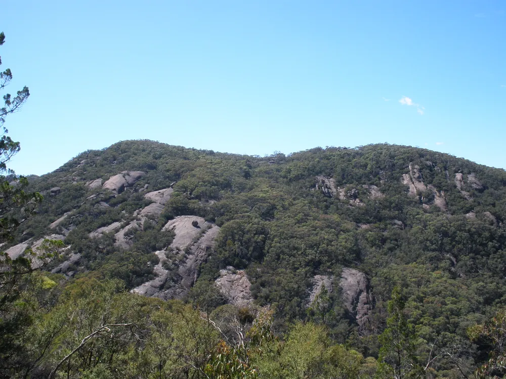 Burrowa - Pine Mountain National Park