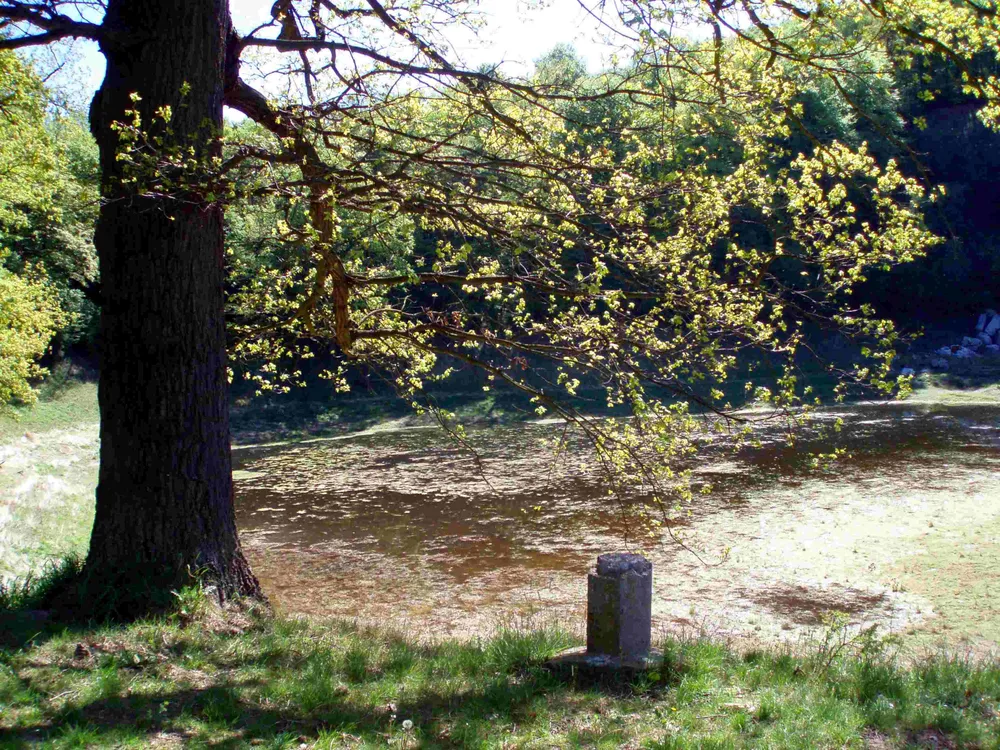 Bauerngraben