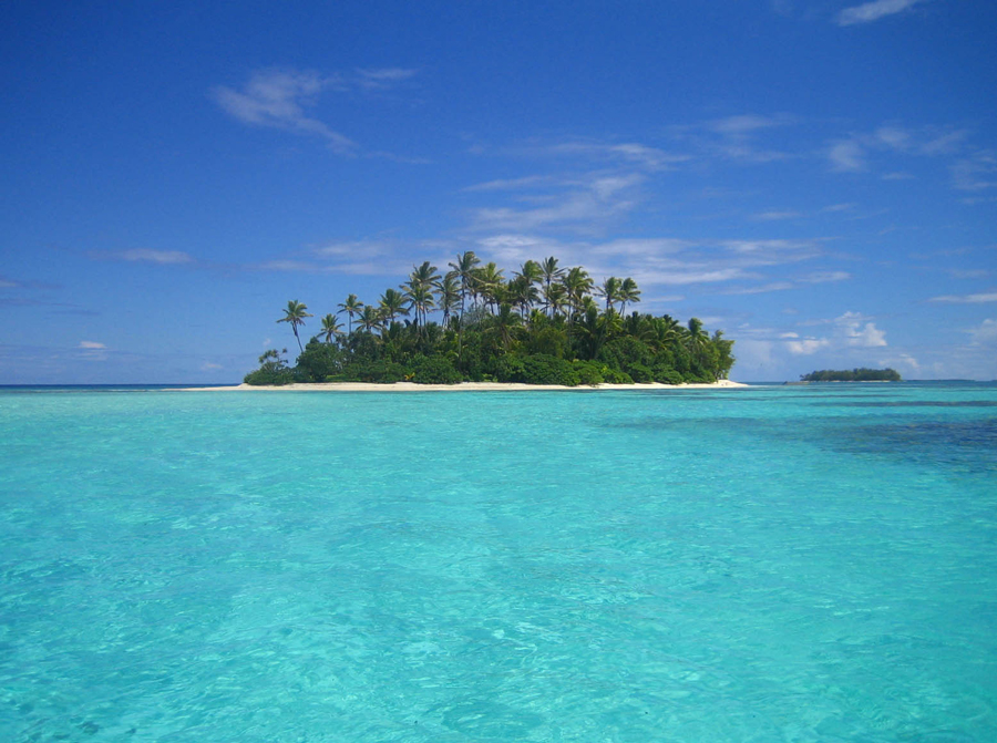 Tauna