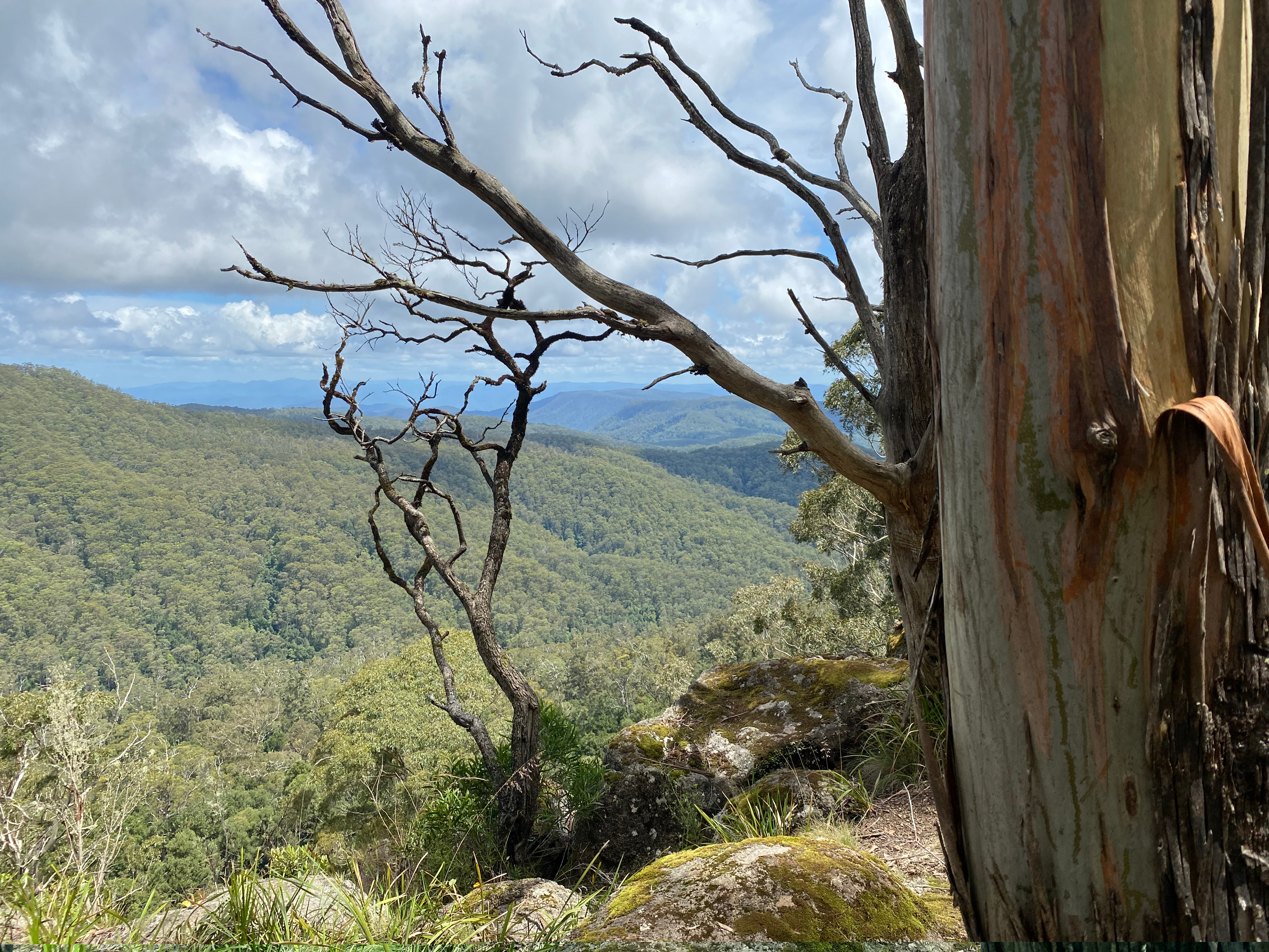 Cunnawarra National Park