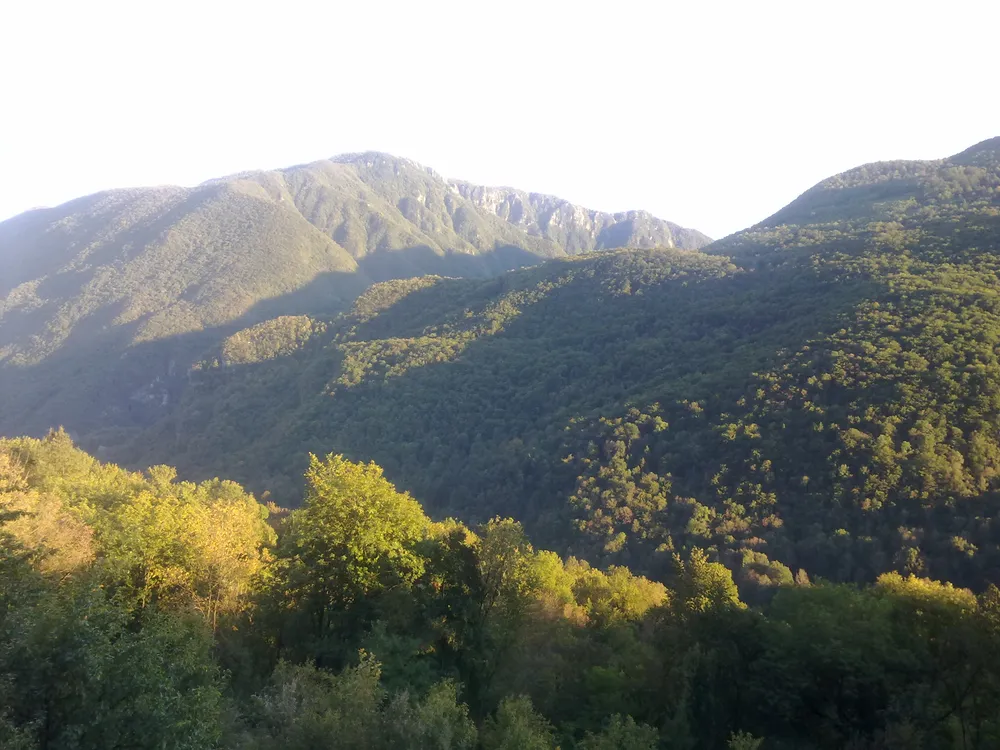Matajur