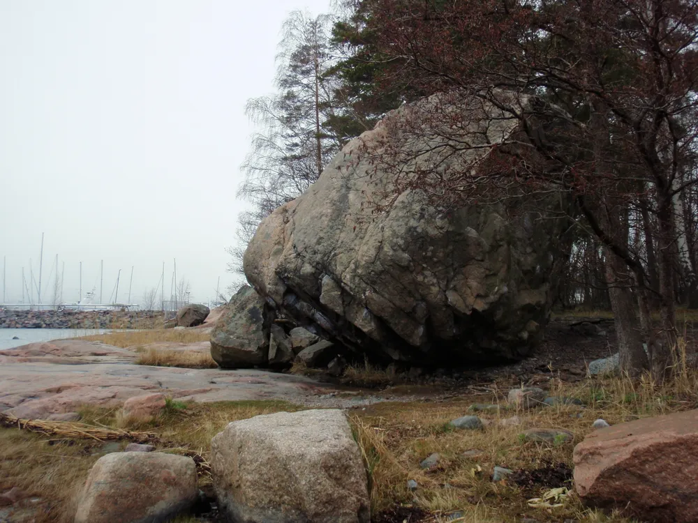 Koivusaari