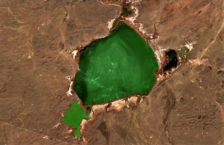 Koktinkoli