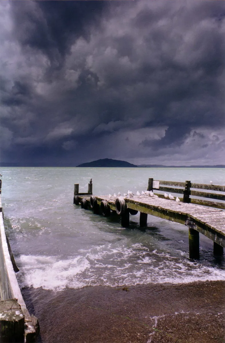 Mokoia Island
