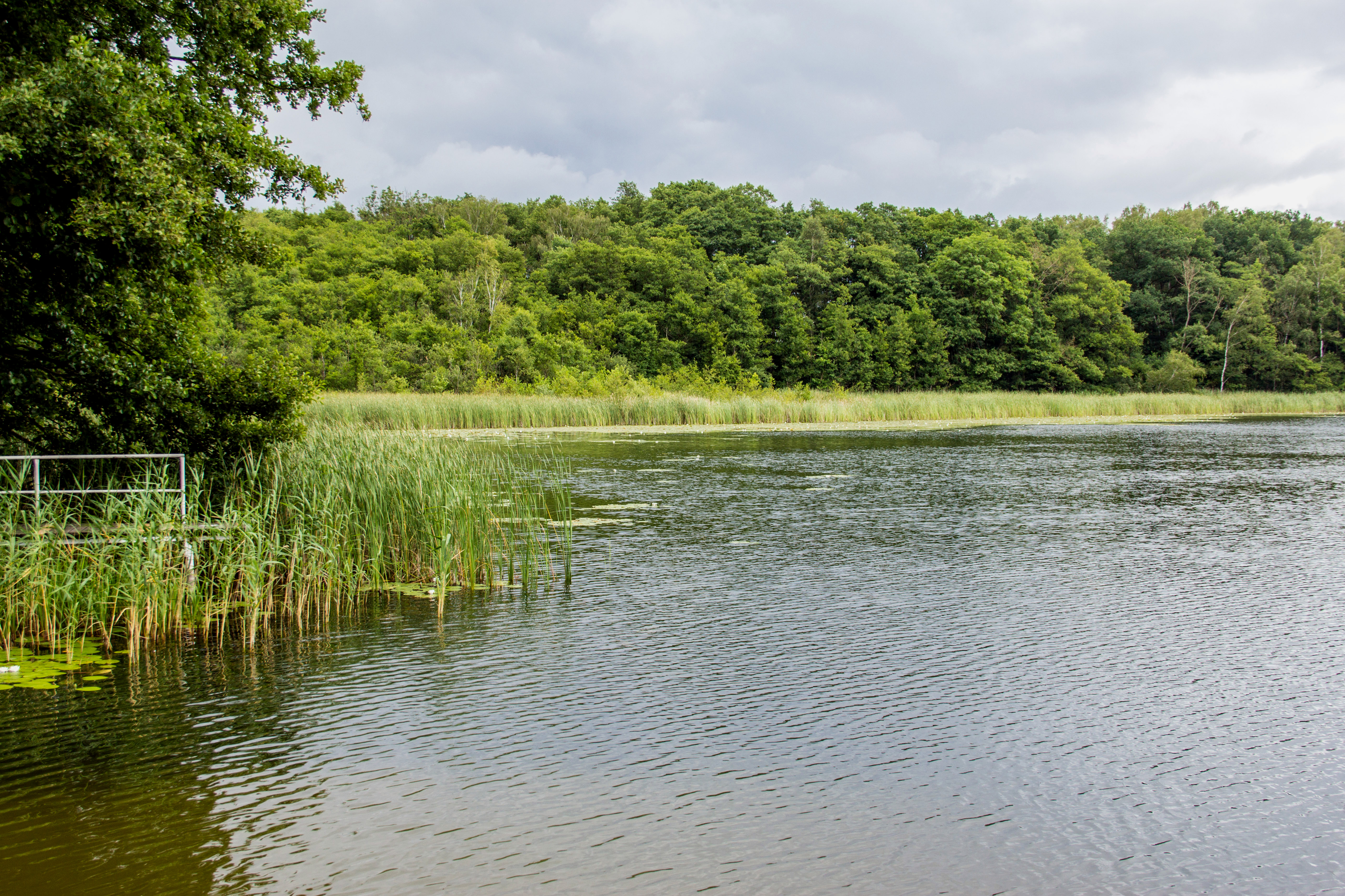 Zierker See