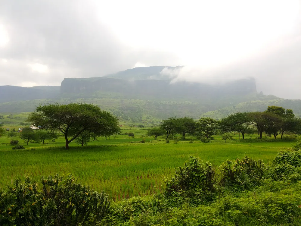 Anjaneri