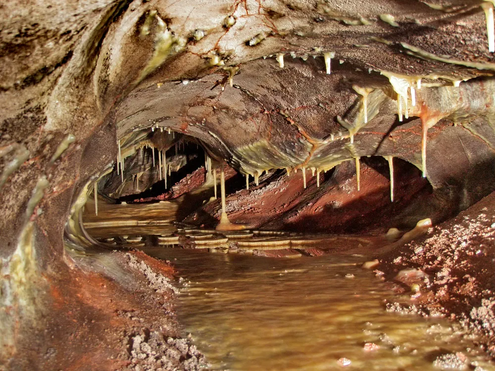 Wind Cave National Park