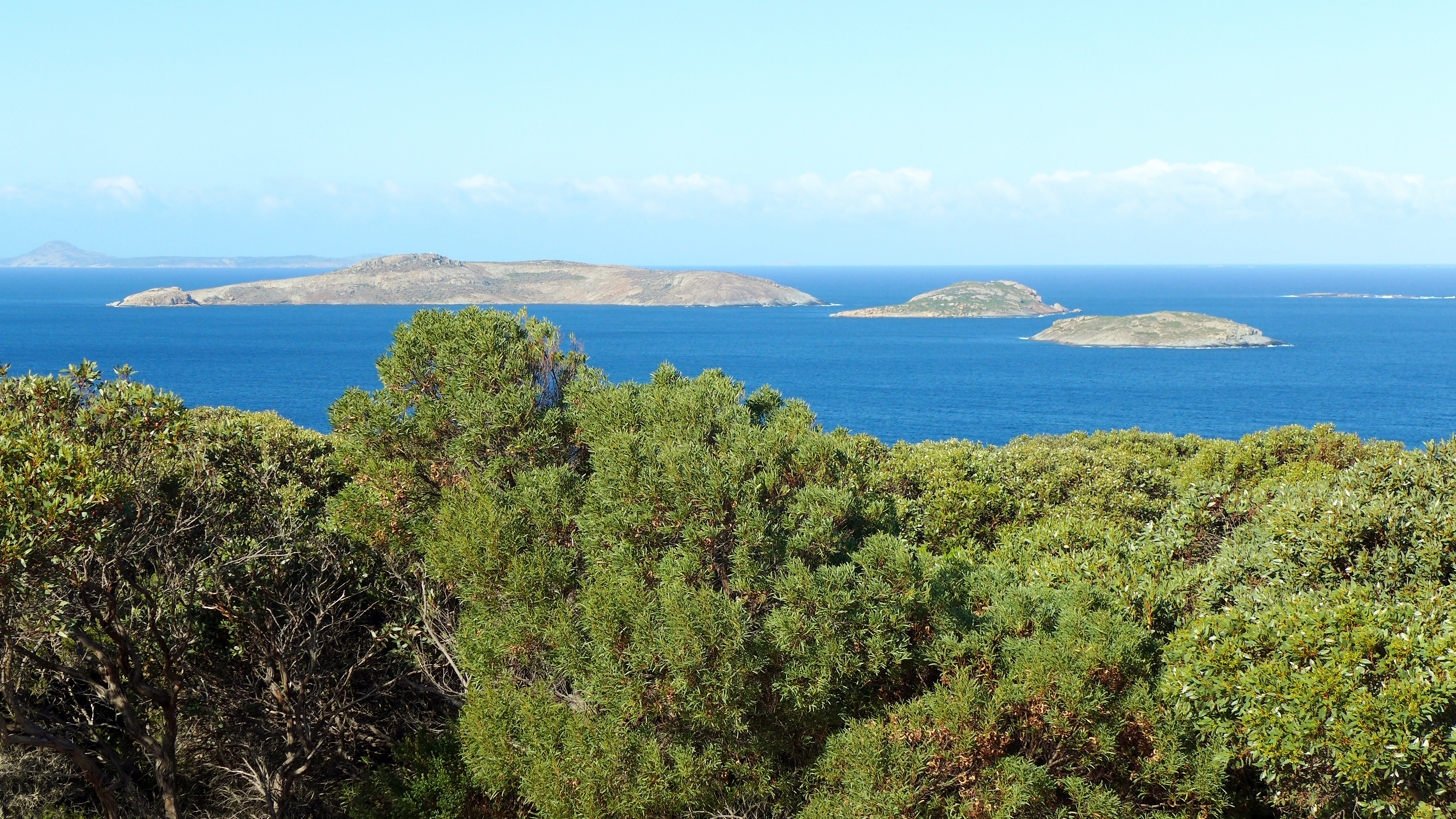 Cull Island