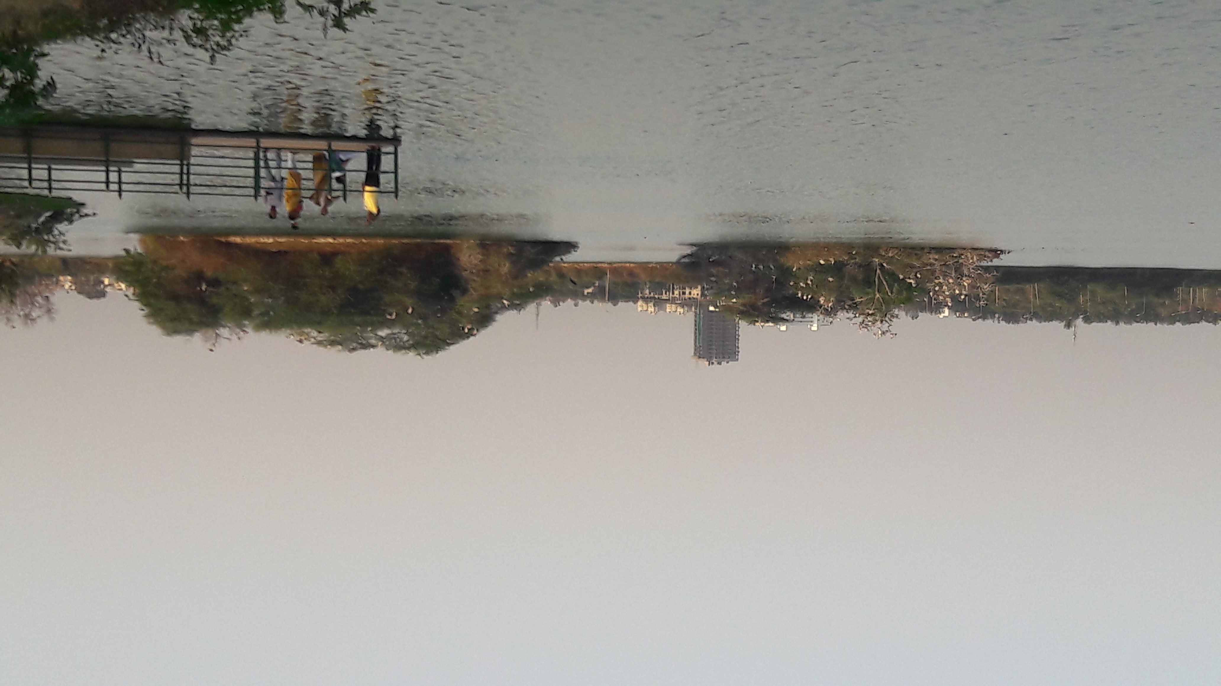 Jakkur Lake