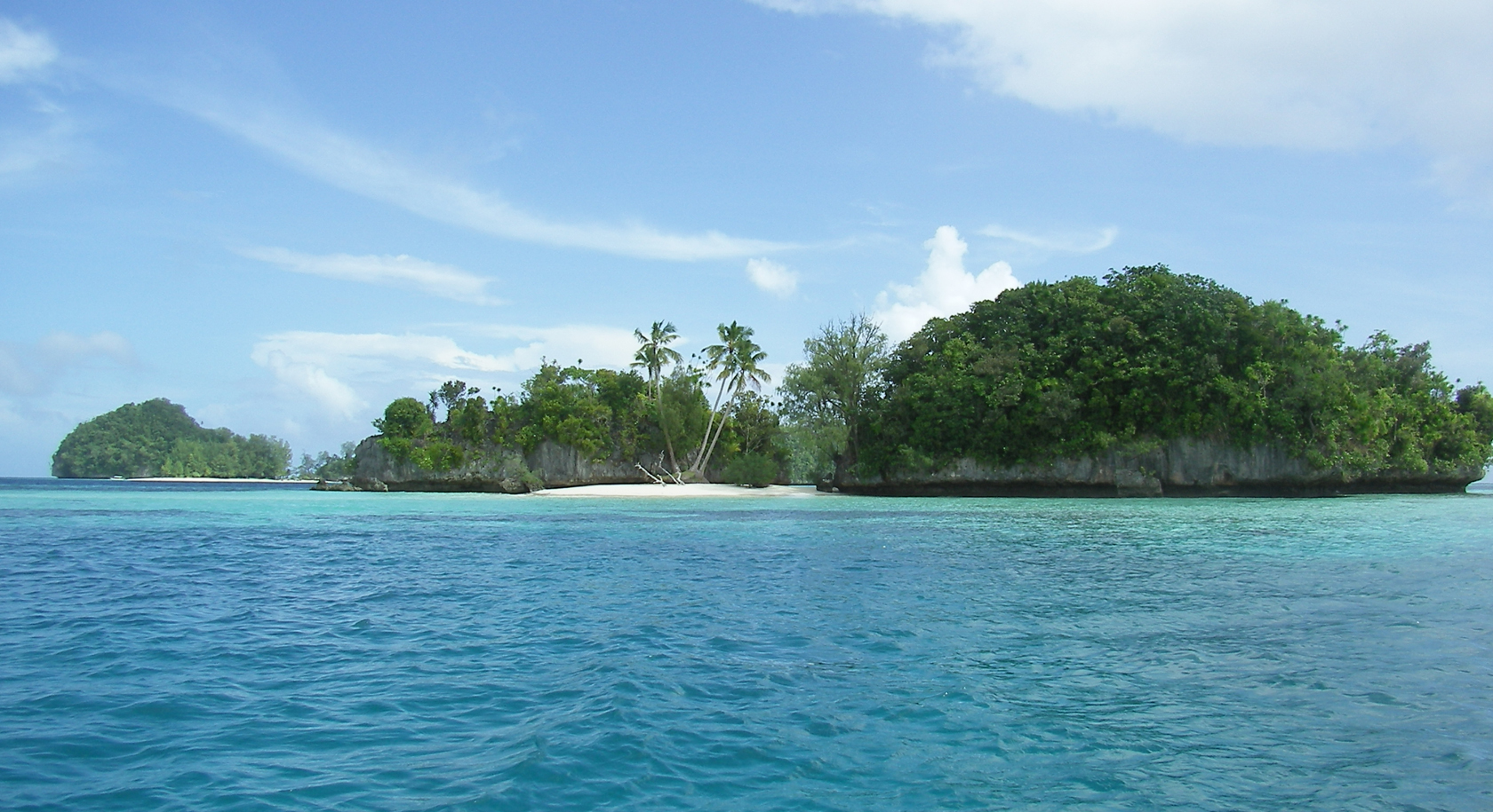 Carp Island