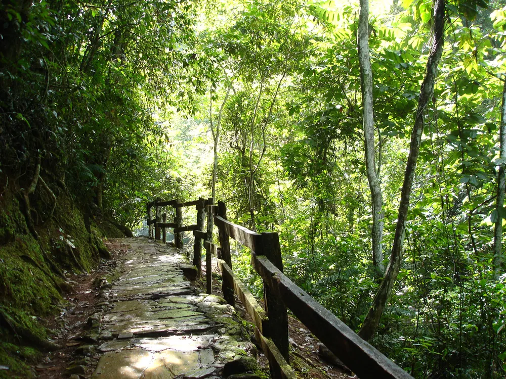 Guatopo National Park