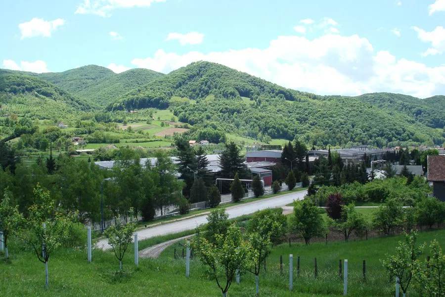 Vujan