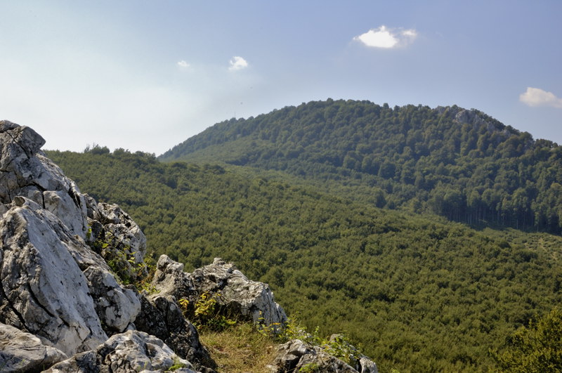 Vysoká