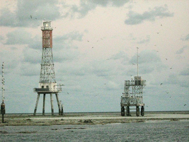 Creal Reef Light