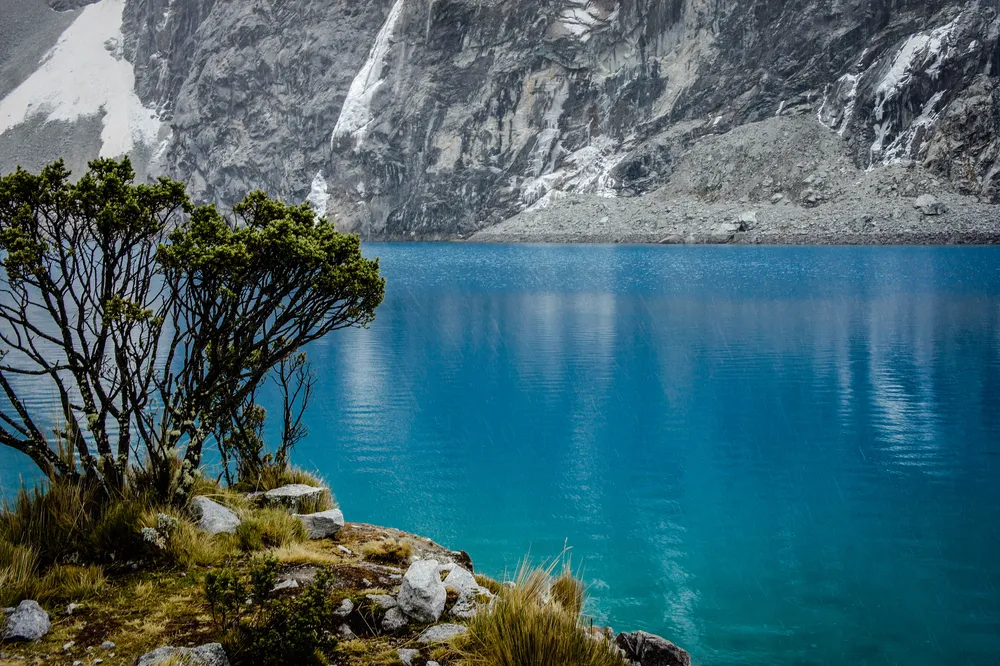 Laguna 69