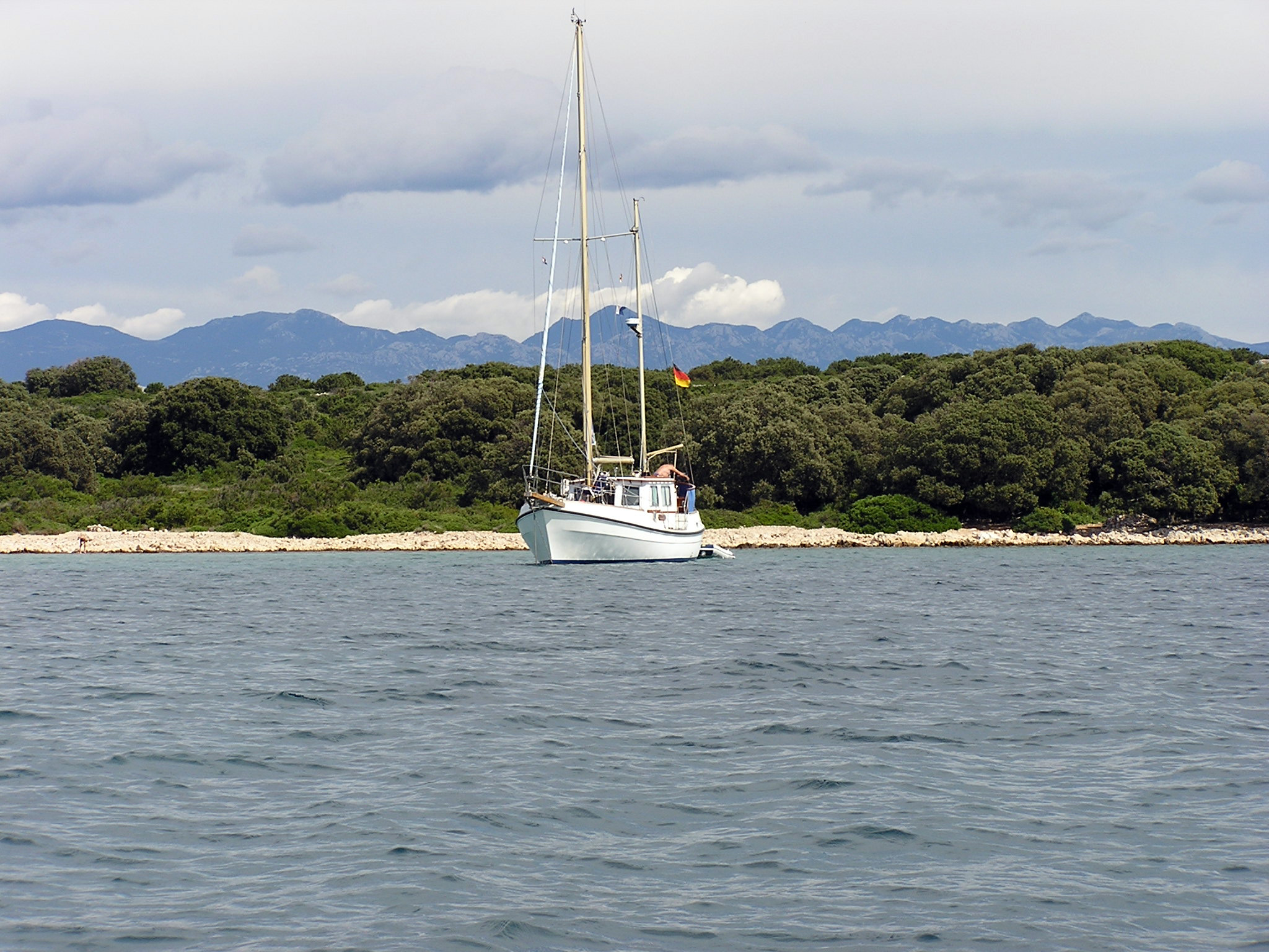 Maun