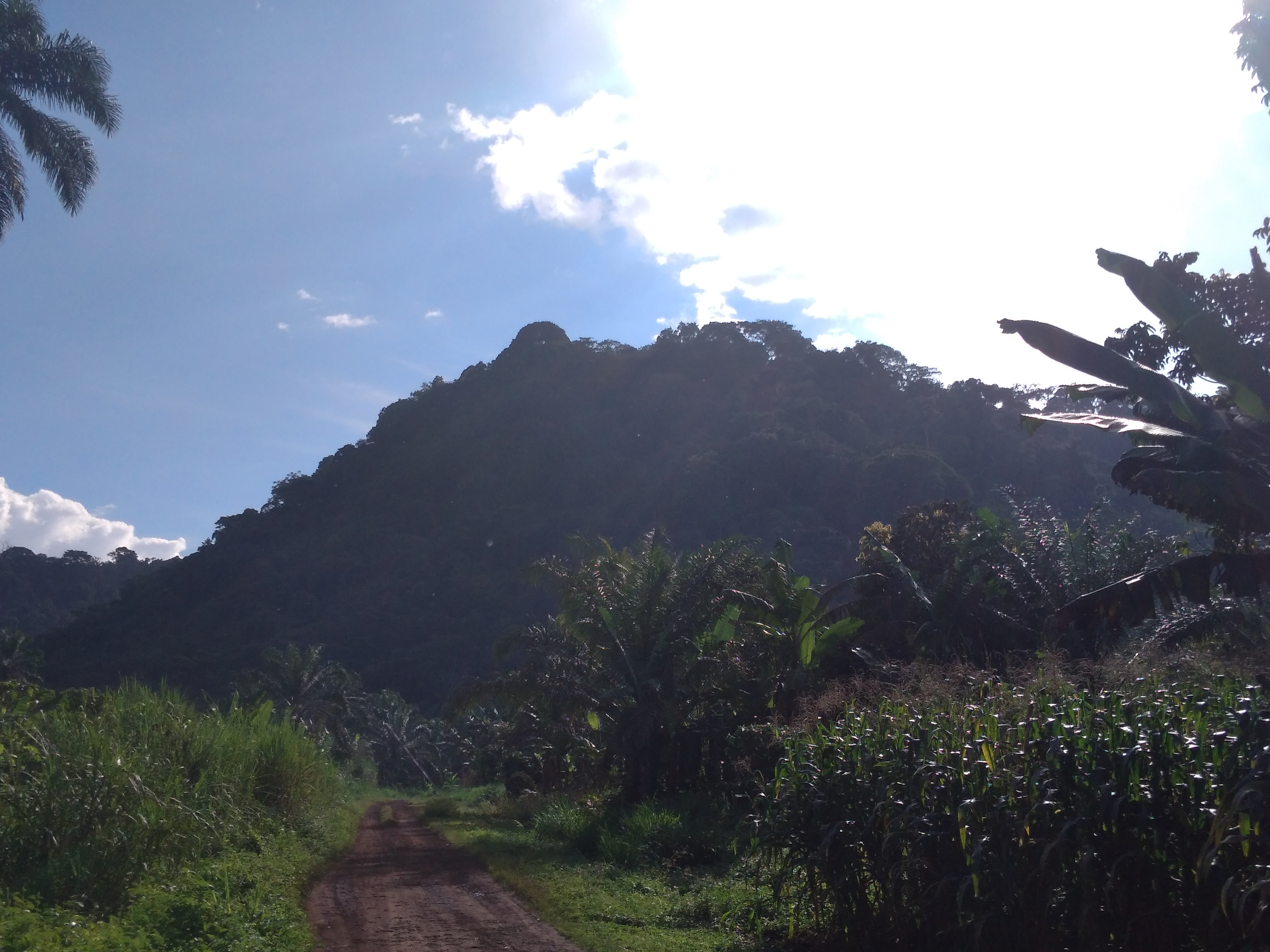 Mount Manengouba